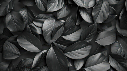 Monochromatic patterns. Black and white patterns. Black and gray leaves forming the background