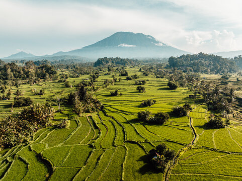 Aerial image of morning golden hour over rice fields and look at mount Agung in Sidemen, Bali, Indonesia