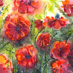 Hand painted watercolor red poppies painting, Watercolor red poppies. Watercolor poppy field painting.