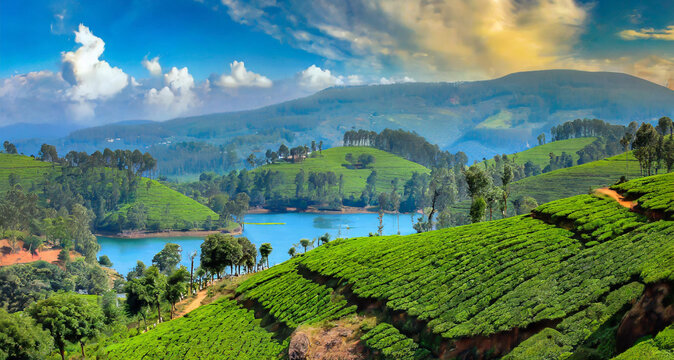 he picturesque landscapes of Ooty in Tamil Nadu