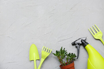 Plant on peat pot and gardening tools on grey background. Top view