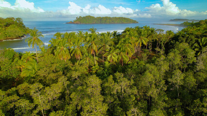 AERIAL: Stunning view over lush tropical trees towards breaking ocean waves