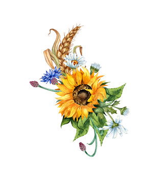 recommend clip art: Sunflower, daisies, cornflower, ears of wheat boutonniere watercolor illustration. Harvest Festival. The bouquet is isolated from the background. Compositions posters, cards, banners, flyers, covers