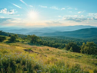 Obraz premium A lush green field with wildflowers and a stunning mountain backdrop. AI.