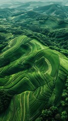 Fototapeta premium Lush green hills. AI.