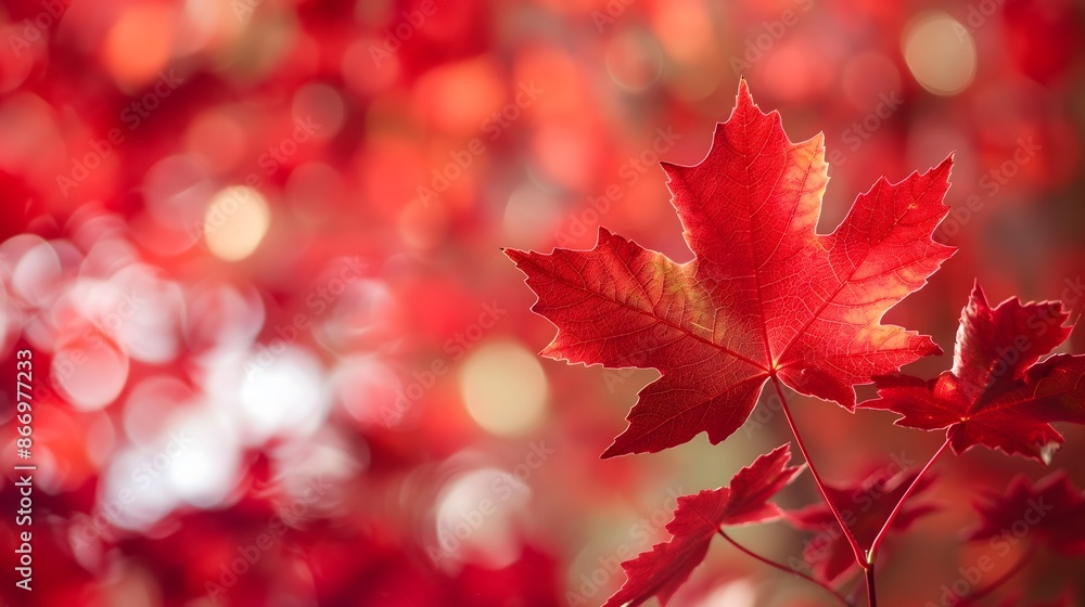 Poster 1. generate an image of a background displaying the vibrant colors of the canadian flag, with bold r