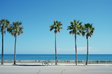 Vintage bicycle is parked on an empty street facing a tranquil ocean with palm trees and a blue sky