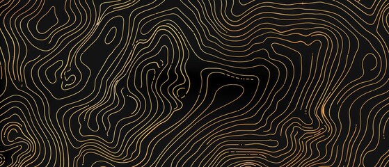 Topographic line map pattern background vector illustration with dark black and gold colors, topographical lines.