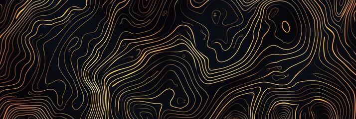 Topographic line map pattern background vector illustration with dark black and gold colors, topographical lines.