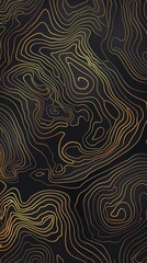 Topographic line map pattern background vector illustration with dark black and gold colors, topographical lines.