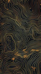 Topographic line map pattern background vector illustration with dark black and gold colors, topographical lines.