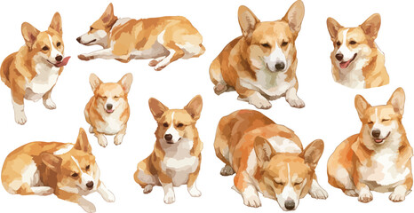 corgi watercolor clipart