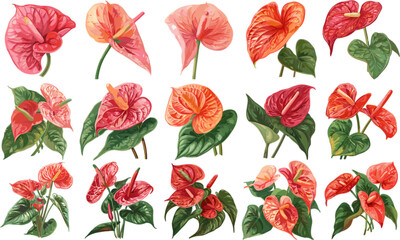 FLOWER SET IN COLOR STYLE, ANTURIUM SET IN COLOR STYLE