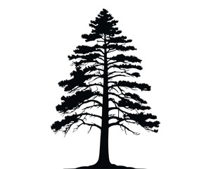 pine tree silhouette, Christmas tree clip art. Winter Holiday Symbols. spruce tree, ink plant sketch, hand drawing. Forest Fir Trees, Black Evergreen Woods vector illustration.	

