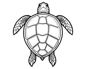 sea turtle illustration silhouette. black and white wild ocean animals icon or logo design. 