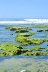 grass and water