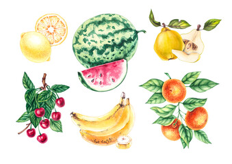 Watercolor fruit set. Hand drawn banana, watermelon, cherry, mandarin, lemon, quince. Botanical fruit set for textile, fabric, clothing, wallpaper, labels, packaging, etc.