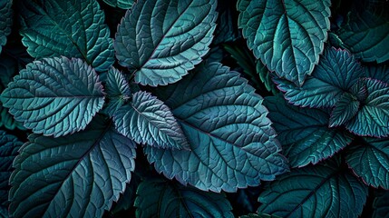 Green tropical plant close-up