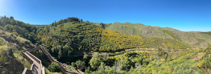 A serene boardwalk winds through vibrant, flower-laden hills under a vast blue sky © homydesign