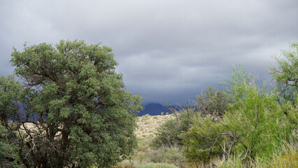 Red Rock Canyon Mountains covered with clouds