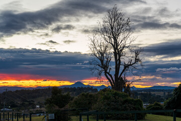 Sunset over the mountains with clouds and tree silhouette. Veresdale Scrub, Scenic Rim, Queensland, Australia. 