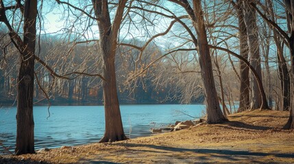 Fototapeta premium Sunny day showcasing lakeside with leafless trees