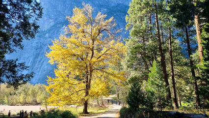 Autumn in Yosemite National Park, USA