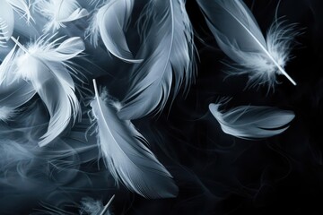 Obraz premium ethereal white feathers floating gracefully against a deep black background soft lighting creating delicate shadows and highlights