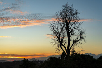 Tree silhouetted against sunset over mountains. Veresdale, Scenic Rim, Queensland, Australia.