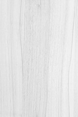 White wood texture with beautiful natural patterns in retro concept.