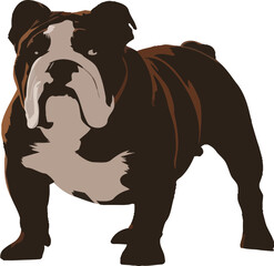 Bulldog silhouette vector black and white background