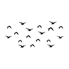 Flying birds silhouettes on white background. Vector illustration.