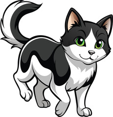 black and white cat