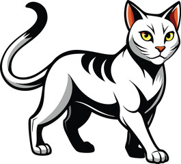 black and white cat