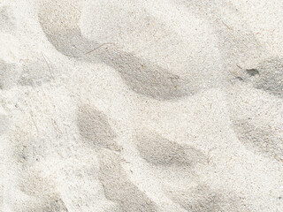 Beach Land texture sand background