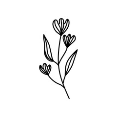 Hand drawn flowers and plants. Monochrome vector illustrations in sketch style.