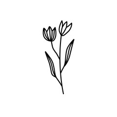 Hand drawn flowers and plants. Monochrome vector illustrations in sketch style.