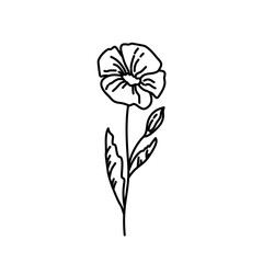Hand drawn flowers and plants. Monochrome vector illustrations in sketch style.
