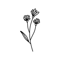 Hand drawn flowers and plants. Monochrome vector illustrations in sketch style.