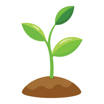 green sprout growing in soil clip art preview