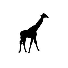 Farm Animal Silhouette collection vecto