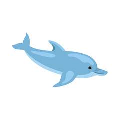 blue dolphin smiling happy