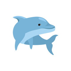 blue dolphin cute friendly fish