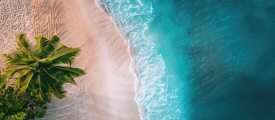 Top view of a sandy beach, palm tree, and ocean from above.