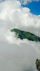 Green hills with a misty atmosphere on Pergasingan Hill, Lombok, Indonesia. the landscape is for hiking and outdoor lifestyle concept. beautiful natural scenery