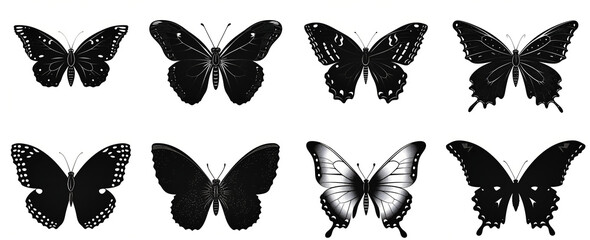 Fototapeta premium collection of butterfly silhouettes in different poses on a white background