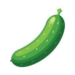 illustration of ripe cucumber on white