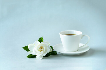 美しい八重のクチナシの花と白カップのコーヒー（灰色の背景）