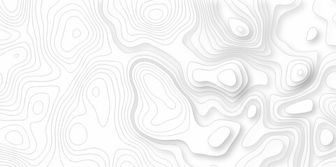 White and black Topographic contour lines. Seamless pattern with lines Topographic map. Geographic mountain relief diagram line wave carve pattern.