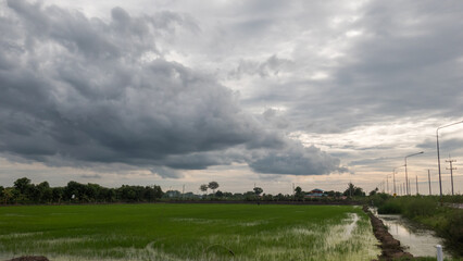 Obraz premium white fluffy clouds forming before thunderstorm on summer blue sky. Moving and changing cloudscape weather